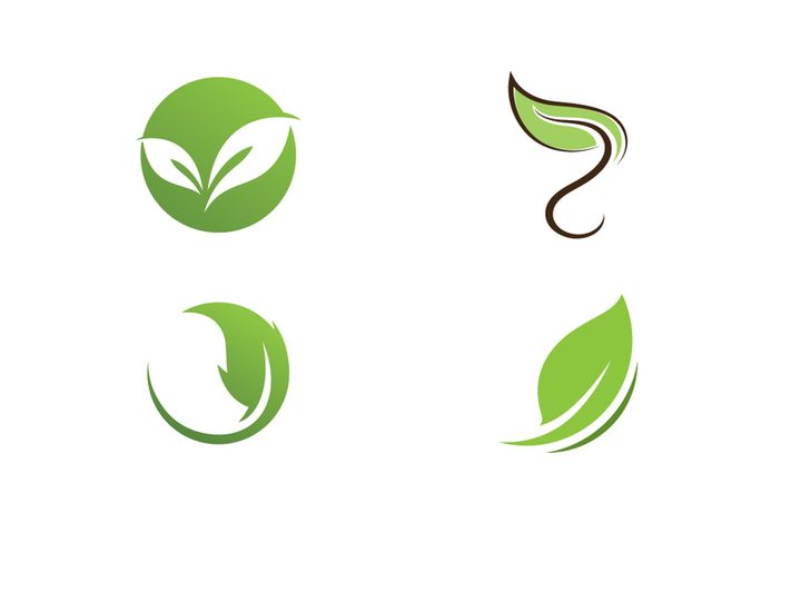Green leaf logo  Nature icon design