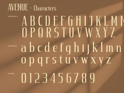 Avenue - Serif Font