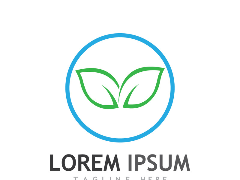 Colorful natural leaf logo design.