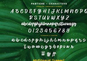 Prestiche - Bold Script