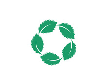 Mint Leaf icon template illustration