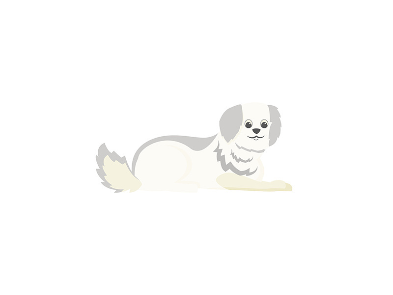 White terrier flat color vector character