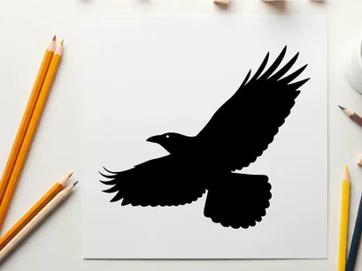 Silhouette of a bird in flight with outstretched wings and tail feathers