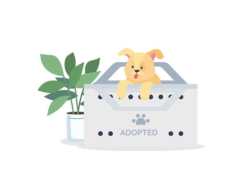 Golden puppy for adoption flat color vector detailed character
