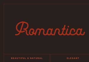 Leuthikline Beautiful Monoline Font