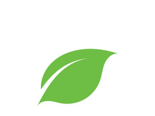 leaf logo green ecology nature element vector image