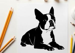 Silhouette of a boston terrier dog lying down peacefully