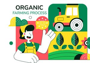 10 Organic Farming Process Illustration
