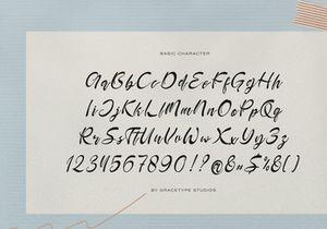 Velmaford | Casual Elegant Script