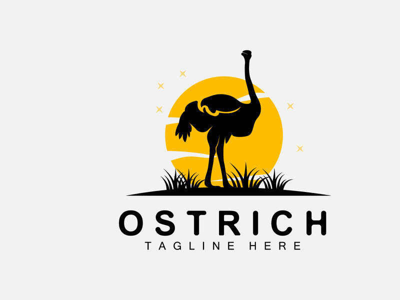 Ostrich Logo Design, Desert Animal Illustration