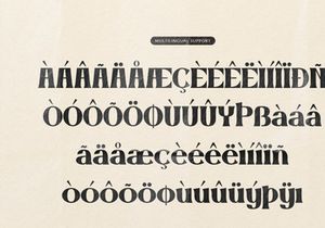 Puppet Master | Bold Serif Display