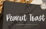 Peanut Toast Font