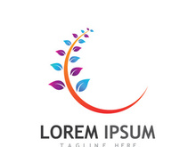 Natural green leaf logo design.