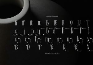 Apex Royale | Modern Serif