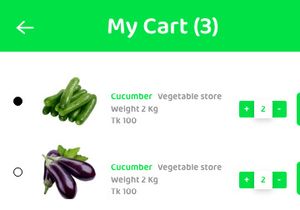 Food Delivery Application