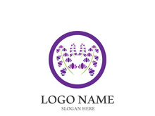 Lavender flower vector icon illustration design template