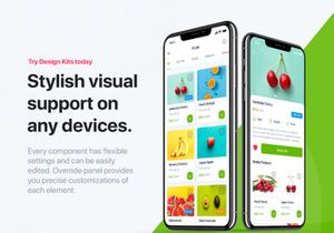 Delites - Online Grocery UI Kit for Figma