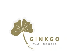 Ginkgo leaf biloba logo nature. Healthy ingredient that is used in medicine for disease treatment with line art style design