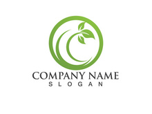 Eco Energy Vector Logo with leaf symbol. Green color with flash or thunder graphic. Nature and electricity renewable. This logo is suitable for technology, recycle, organic.