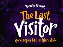 The Last Visitor – Special Display Serif Font preview picture