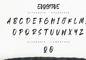 Evocative - Brush Font