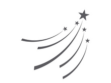 Faster Star Logo Template