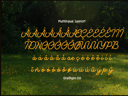 Averty Meadow | Monoline Script