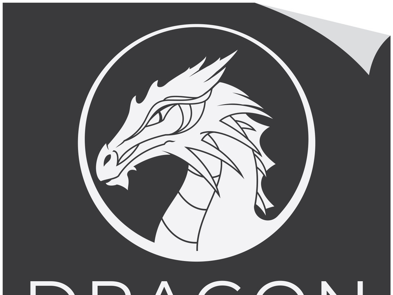 Dragon logo art illustration