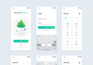 Plant 🌿 • Freebie