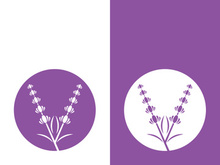 Fresh lavender flower logo vector flat design