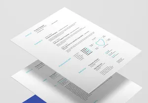 Swiss Design CV/Resume Template