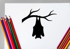 Silhouette of a Bat Hanging from a Tree Branch at Night