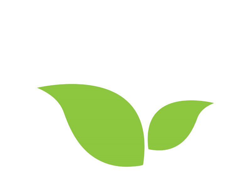 Leaf logo vector icon design template