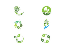 Green Tree leaf ecology nature element