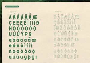 Ambara Djiwa | Vintage Hand Drawn