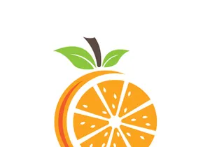 Orange logo design vector icon illustration