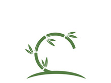 Bamboo Logo Template vector icon