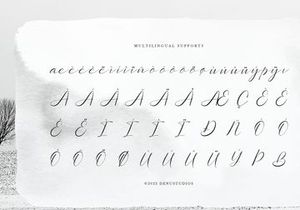 Sollutes Handy | Callighraphy Chic Font