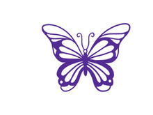Butterfly, SVG Vector Illustration