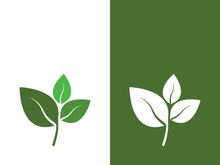 Logos of green tree leaf ecology nature element vector
