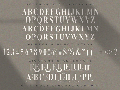 Serizawa - Classic Serif Font