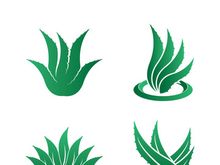Aloe Vera logo icon design symbol beauty skin care