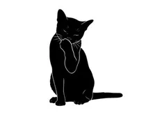 Silhouette of a black cat sitting and pawing at its face