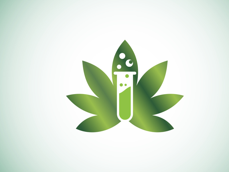 Marijuana leaf. Medical cannabis. Hemp oil. cannabis or marijuana leaf logo