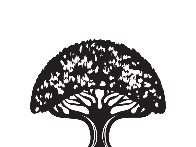 Root Leaf Family Tree of Life Oak Banyan Maple Stamp Seal Emblem Label logo design vector