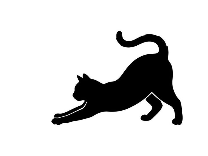Silhouette of a stretching black cat on white background
