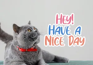 Cindyrella - Playful Display Font