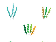 seaweed vector illustration template