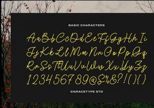 Morlintado | Monoline Script