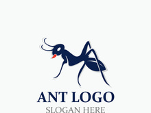 Ant logo design silhouette. Isolated animal ants on background design template vector